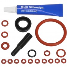 Ремонтный комплект XL для Saeco Xelsis, Exprelia и Energica. 15168