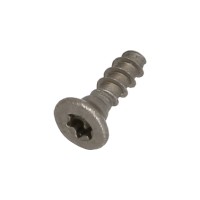 Винт T10 3x10 мм для полностью автоматической кофемашины Saeco-Philips 996530007951