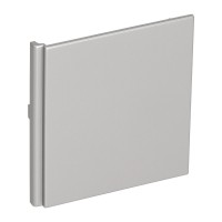 Передняя панель правая серебристая DeLonghi Nespresso EN 520 5313229021