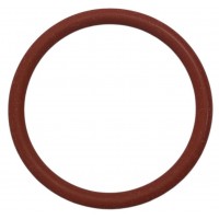 Уплотнитель ОРИГИНАЛ блока заваривания Saeco Magic M2 O-RING 0400-40 265491